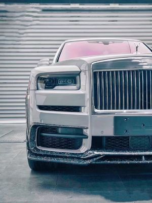 2018 - 2019 Cullinan Body Kit DW Stili Ön Dudak Diffuser Spoiler Widebody Kit